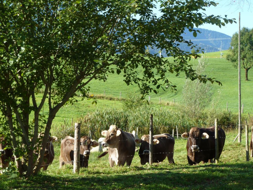 Haus Alpenhof Ξενοδοχείο Immenstadt im Allgäu Εξωτερικό φωτογραφία