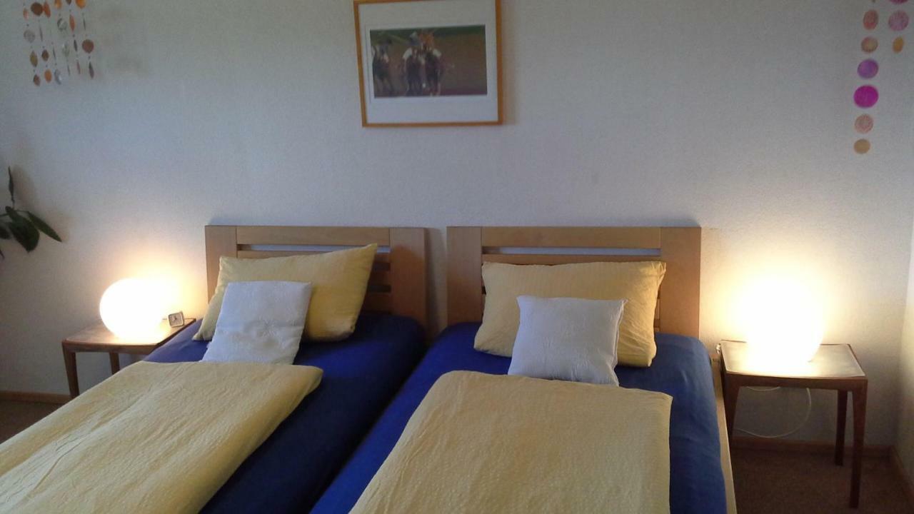 Haus Alpenhof Ξενοδοχείο Immenstadt im Allgäu Εξωτερικό φωτογραφία